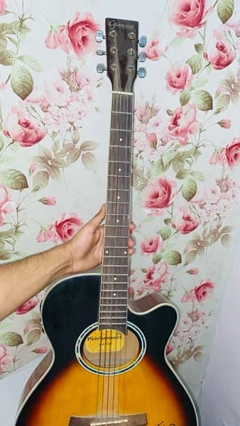 Giannini Acoustic Electric Guitar 3