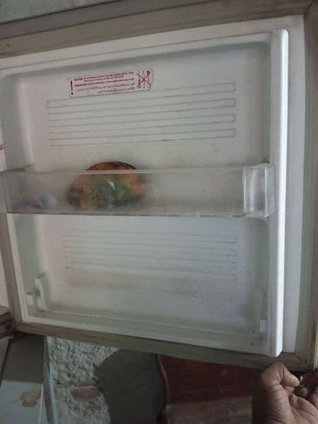 PEL refrigerator 4