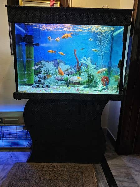 fish Aquarium 2