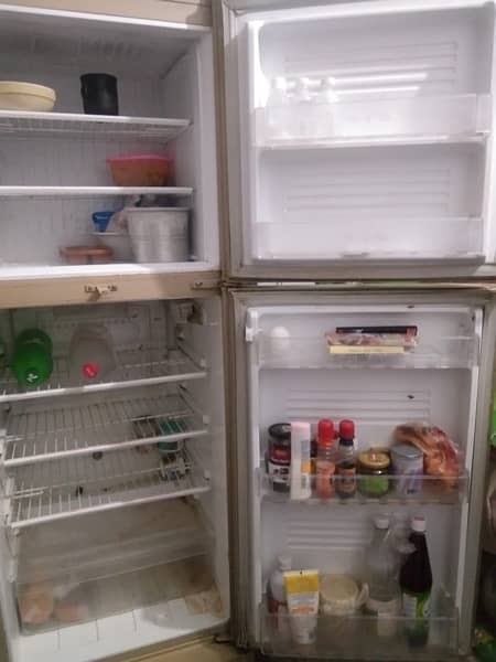 pel fridge 2