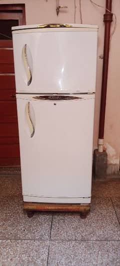 Refrigerator Frigd