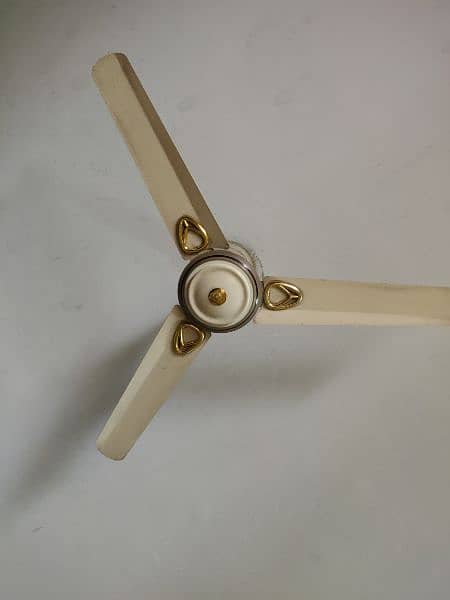 ceiling fan 2