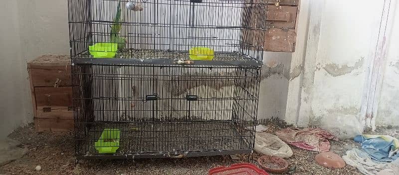 2 potion cage for sale 3