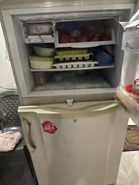 pel company freezer 0