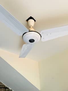 selling clean fan with good condition