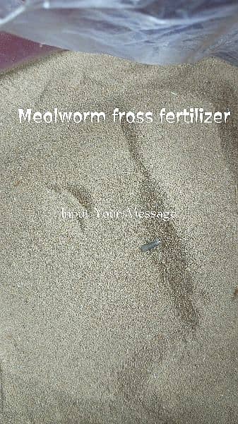 Mealworms frass 0