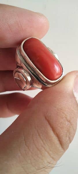 100% Natural Red Marjan Coral Gem Stone Silver Ring 4