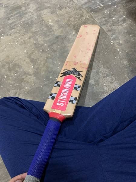 Gray Nichilos High Quality Bat 1