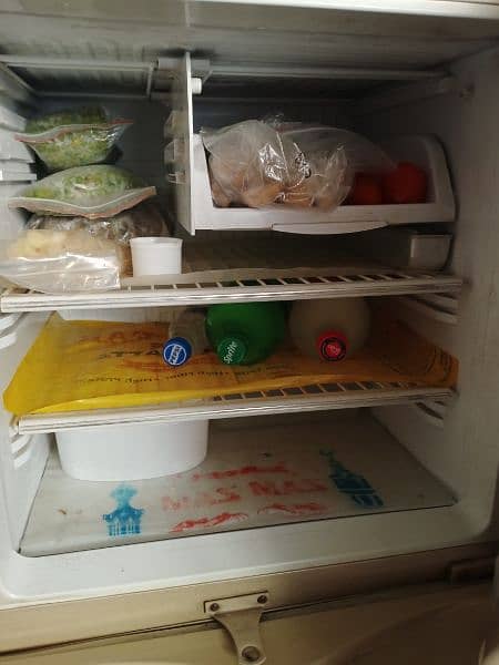 Pel refrigerator 3