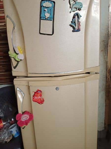 Pel refrigerator 5