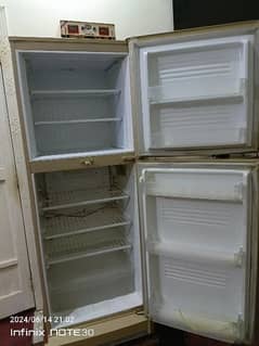pel fridge for sale