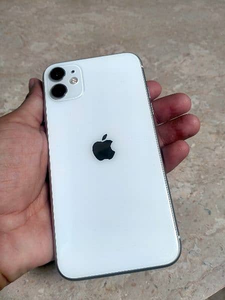 iPhone 11 Waterpack 1