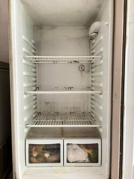 Classic affordable Haier fridge 1