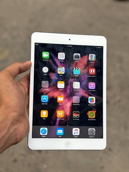 Ipad Mini 4 0