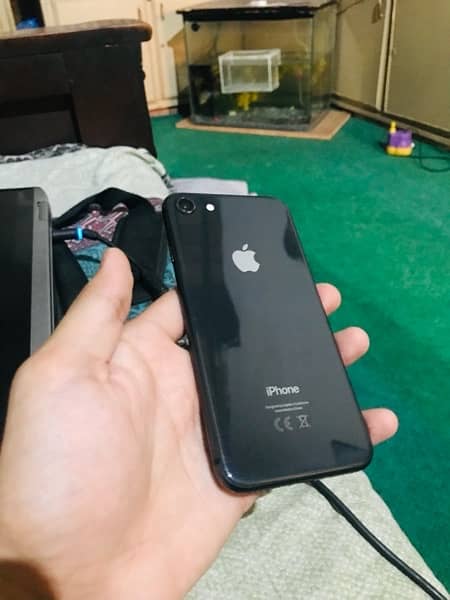 IPhone 8 PTA APPROVED 0