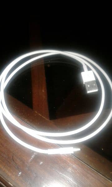 I phone cable 1