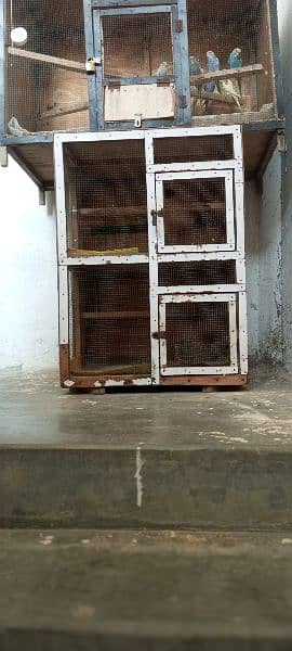 2 wooden cage urgent sale krna ha 4