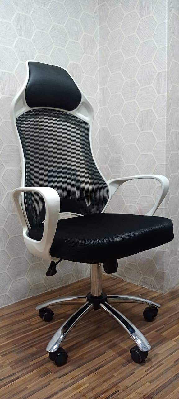 Adjustable Guaranteed Chair. 1