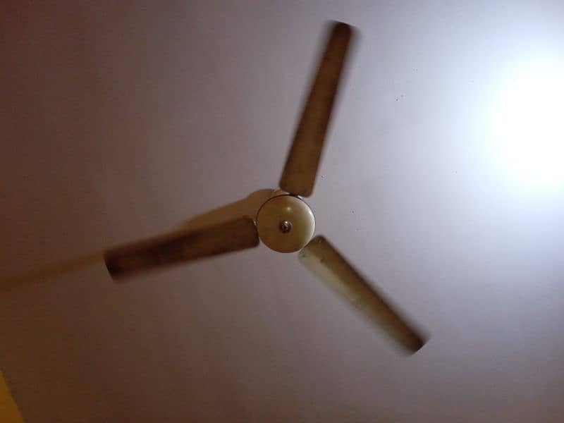 ceiling fan (Pak Fan) 1