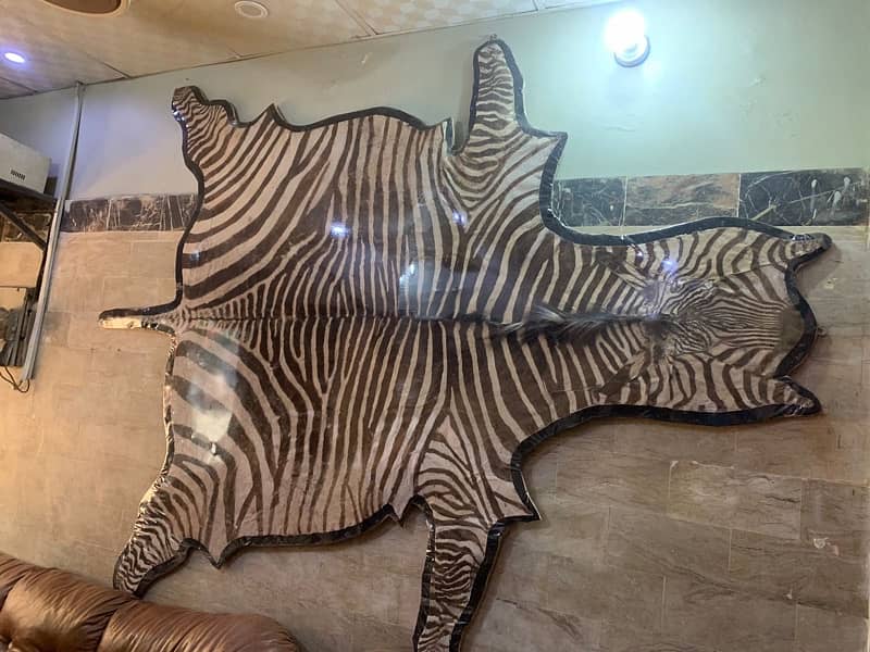 Zebra rug 0