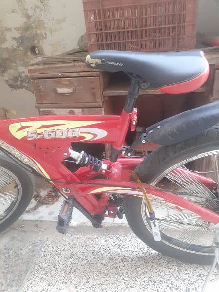 Bicycle Caspian imported 6