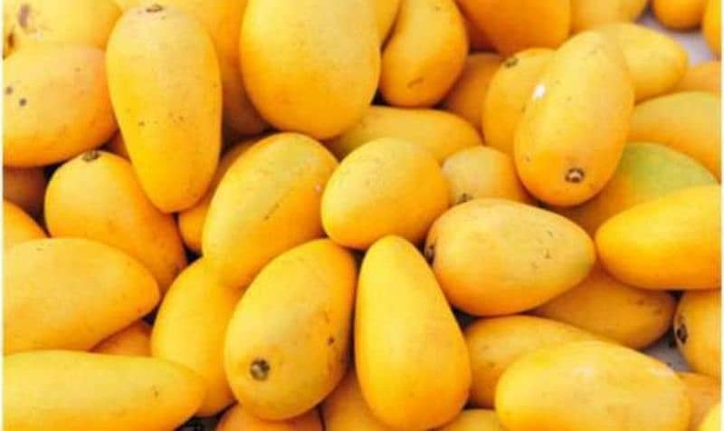 Chaunsa mangoes 1