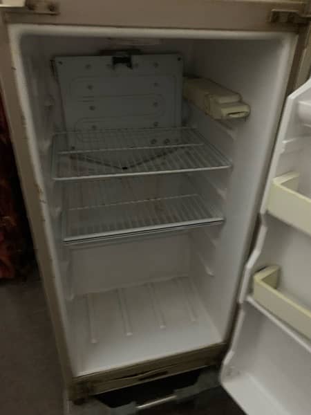 fridge medium sized 4