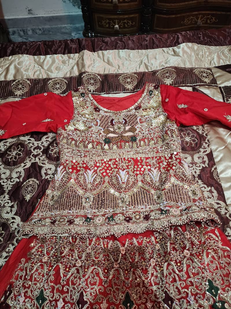 Bridle Lehnga 0