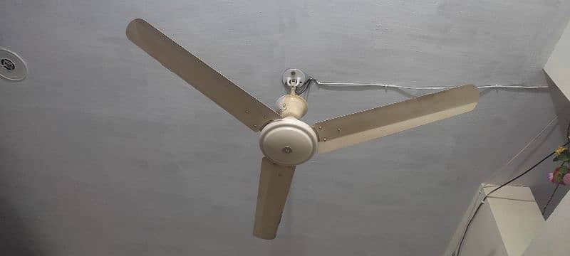 Fans 46" & 56" 0