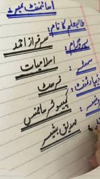 I can write urdu english assignments 1