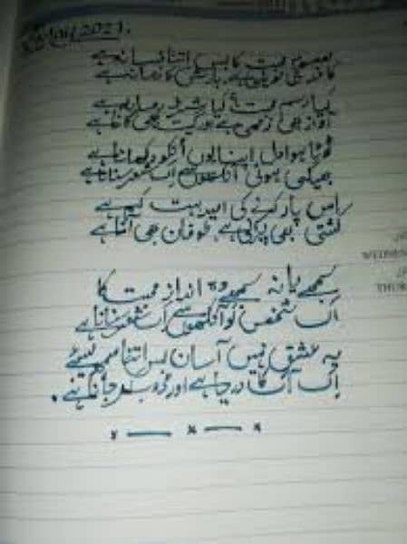 I can write urdu english assignments 5