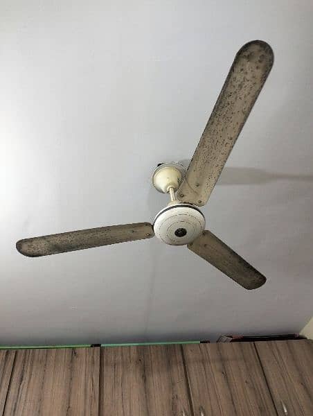 Ceiling Fan Pak Fan. 0