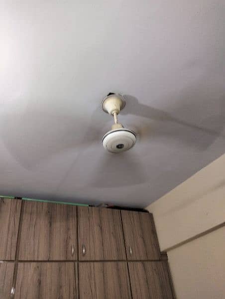 Ceiling Fan Pak Fan. 1