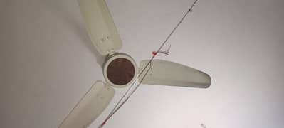 Ac fan