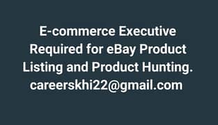 E-commerce Executive and Data Entry Operator 0