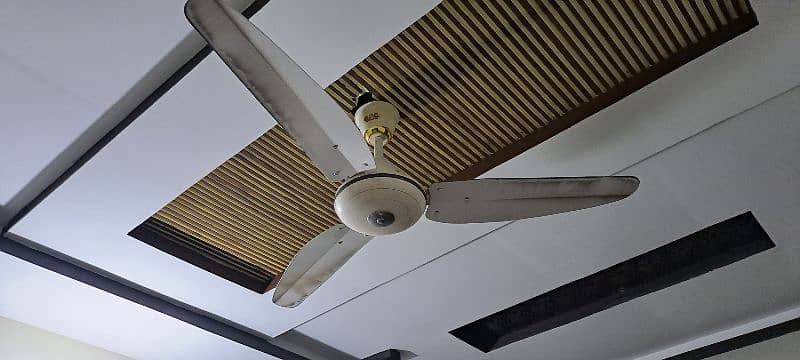 Ceiling Fan 2