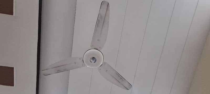 Ceiling Fan 5