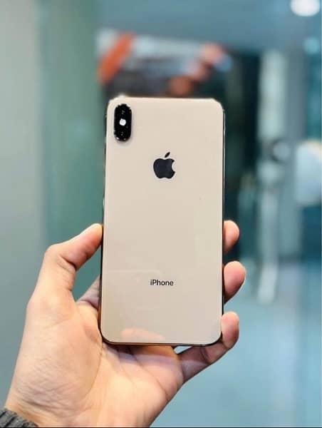 XS Max 512 GB 2