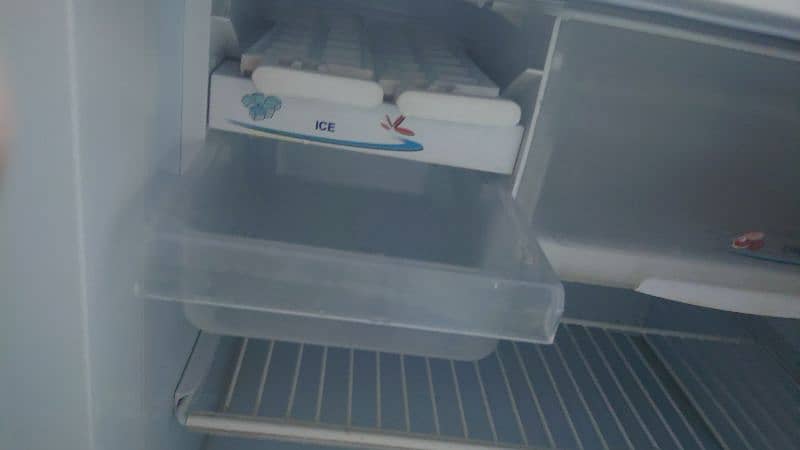 Pel family size fridge and freezer 4