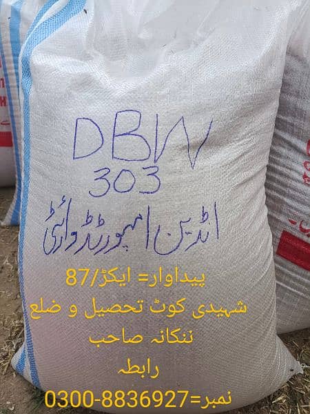 انڈین امپورٹ گندم ورائٹی DBW 303 0