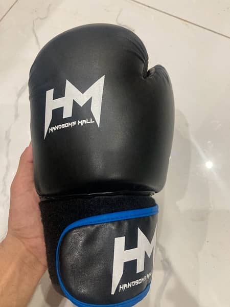 HM BOXING GLOVES ( 10 oz ) slightly used 0