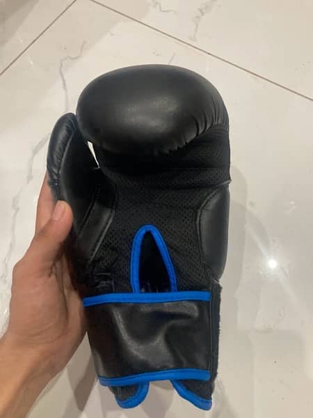 HM BOXING GLOVES ( 10 oz ) slightly used 1