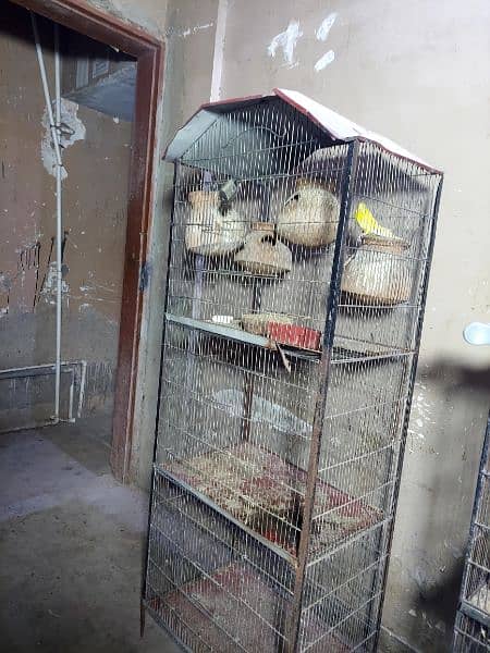 PORTION BIRDS CAGE" (lron Cage) 2