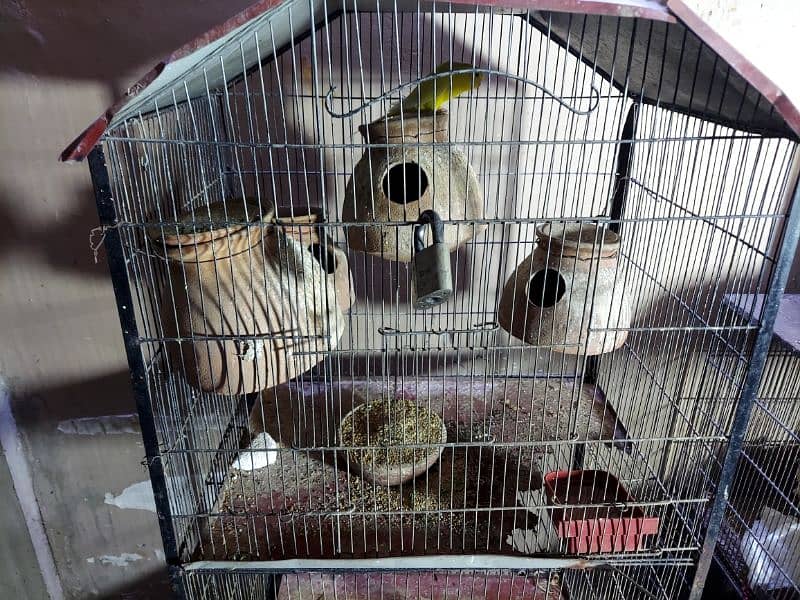 PORTION BIRDS CAGE" (lron Cage) 6