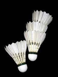 Pure Quality White Badminton Shuttlecock, Natural Feathered 0