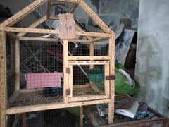 cage with diamond dove breeder pair