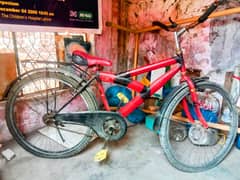 phoenix Bicycle in good condition