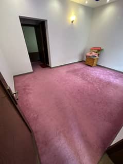 Carpet