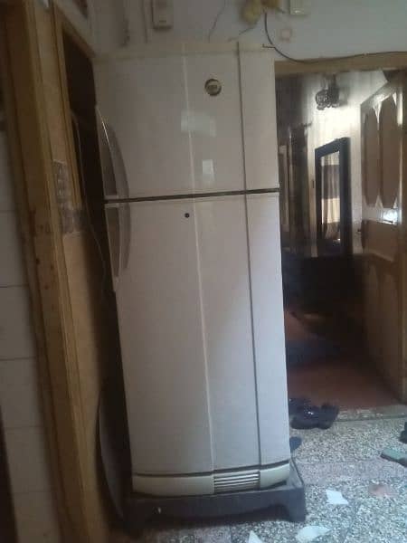 pell refrigerator large size 0