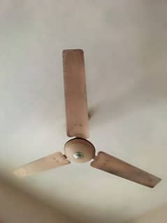 bast condition fan royal fan for sale